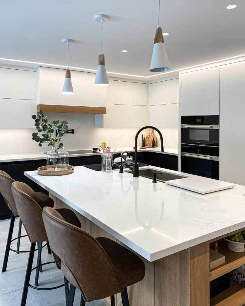 Modern Black and White Kitchen Ideas 3