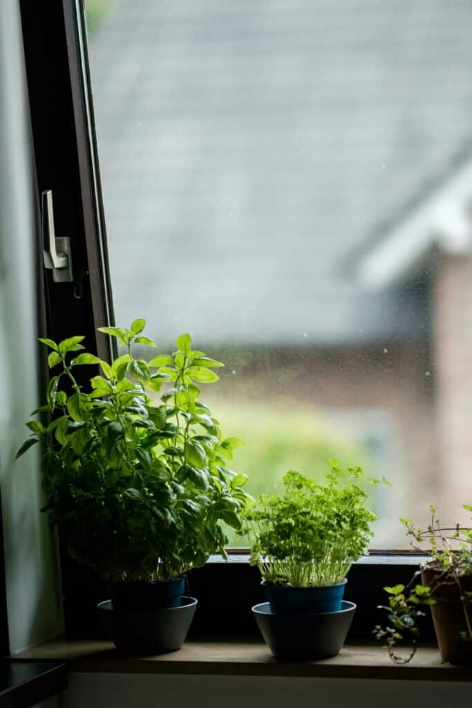 Kitchen WindowSill Styling Tip 5