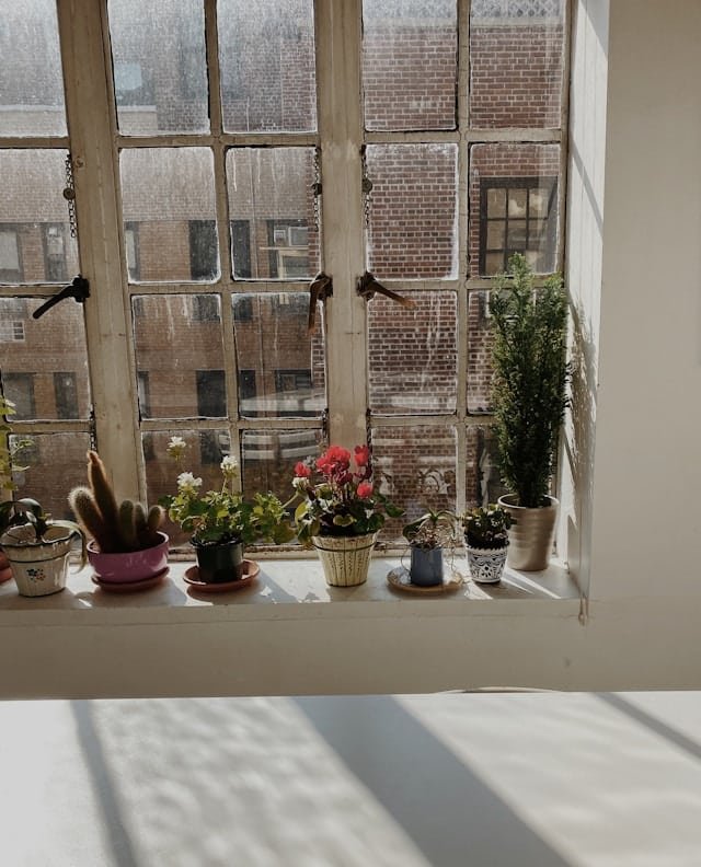 Kitchen WindowSill Styling Tip 3