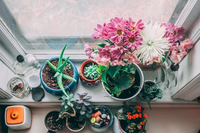 Kitchen WindowSill Styling Tip 2