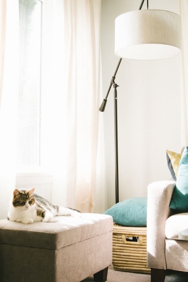 Yes, You Can Organize a Room with Too Much Stuff — Here’s How
