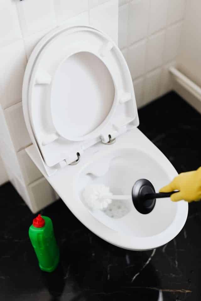 The Most Hygienic Way to Clean Your Toilet