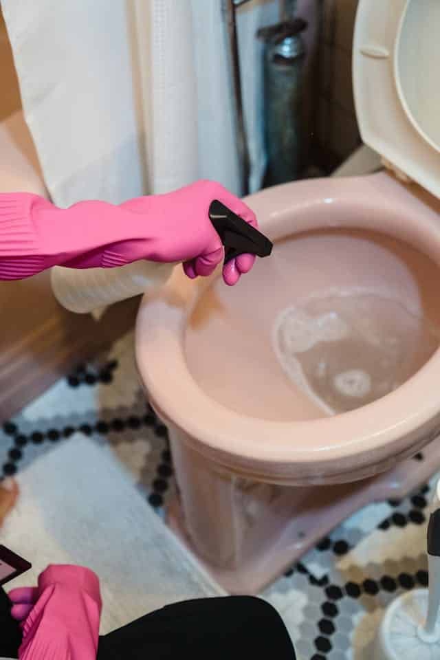 how to clean your toilet in the most hygienic way