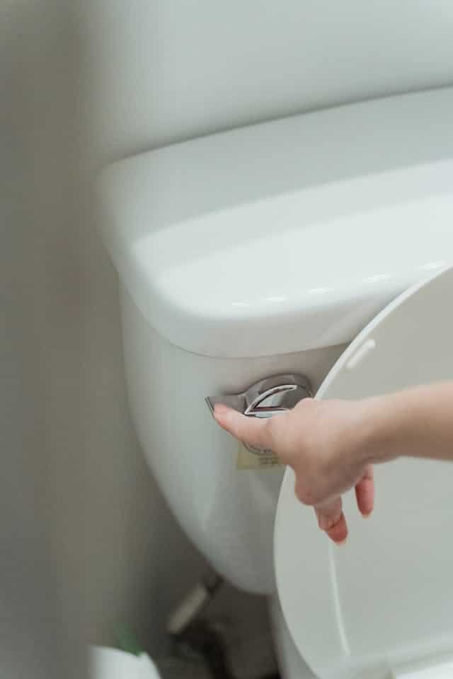 The Most Hygienic Way to Clean Your Toilet