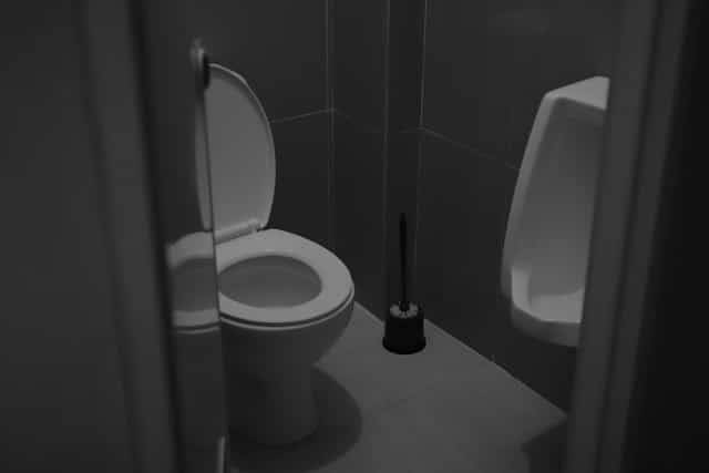 how to clean your toilet brush the right way